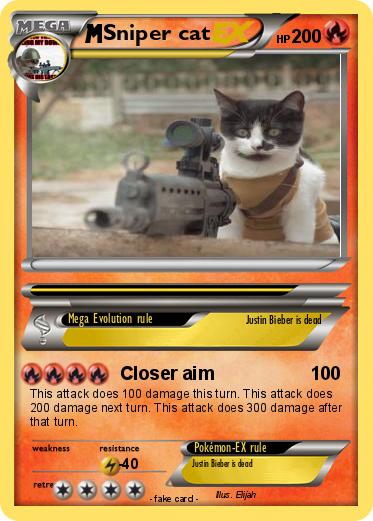 Pokemon Sniper cat