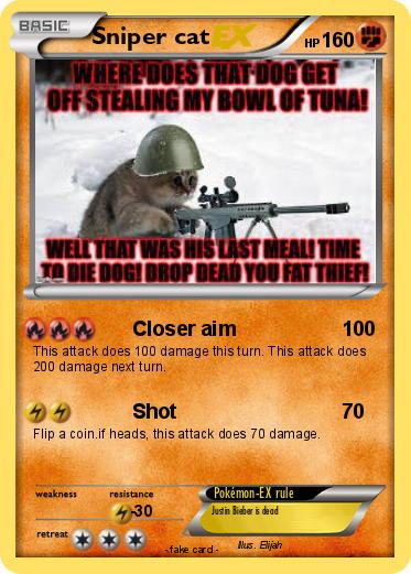 Pokemon Sniper cat