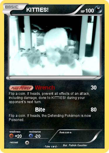 Pokemon KITTIES!