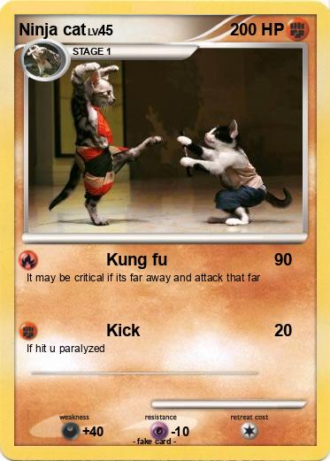 Pokemon Ninja cat