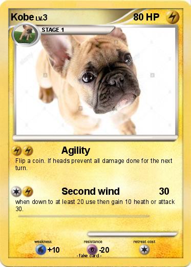 Pokemon Kobe