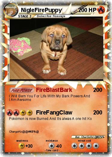 Pokemon NigleFirePuppy