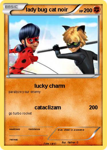 Pokemon lady bug cat noir