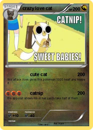 Pokemon crazy love cat