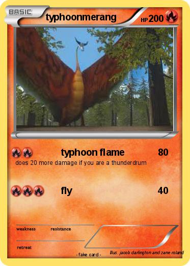 Pokemon typhoonmerang