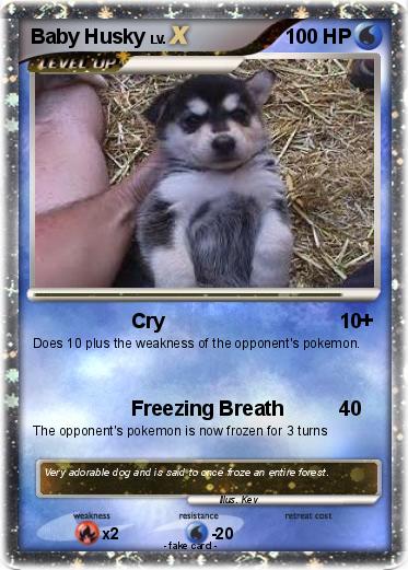 Pokemon Baby Husky