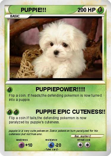Pokemon PUPPIE!!!