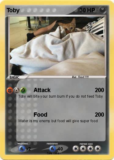 Pokemon Toby