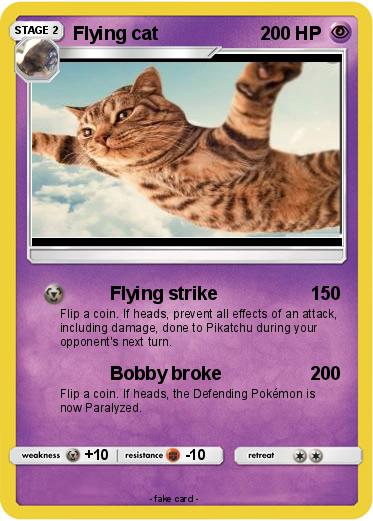 Pokemon Flying cat