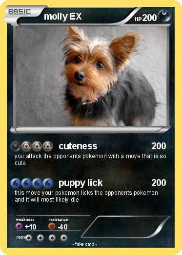 Pokemon molly EX