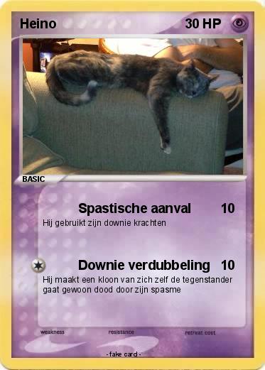Pokemon Heino