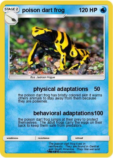 Pokemon poison dart frog
