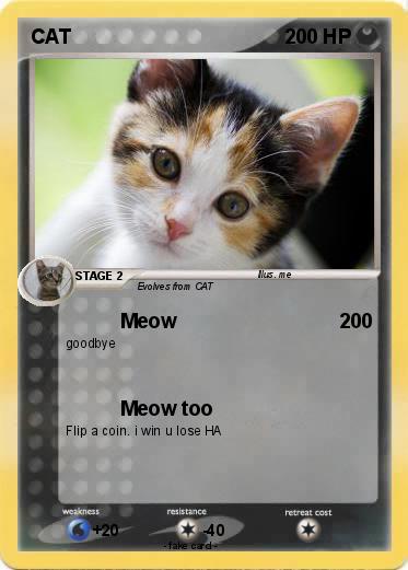 Pokemon CAT