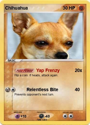 Pokemon Chihuahua