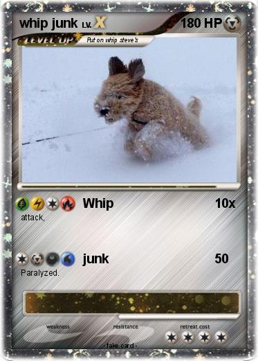 Pokemon whip junk