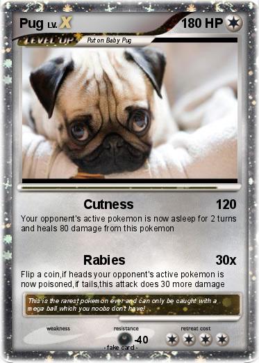 Pokemon Pug