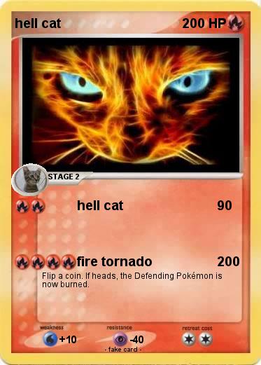 Pokemon hell cat