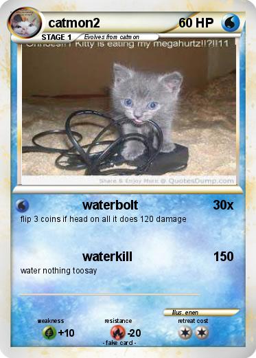 Pokemon catmon2