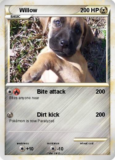 Pokemon Willow