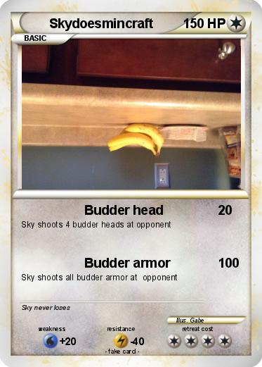 Pokemon Skydoesmincraft