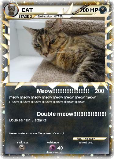 Pokemon CAT
