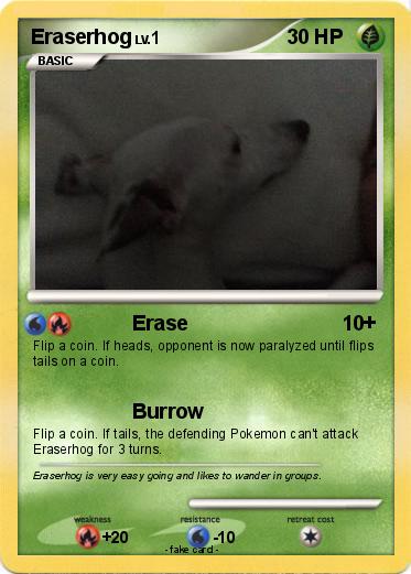 Pokemon Eraserhog