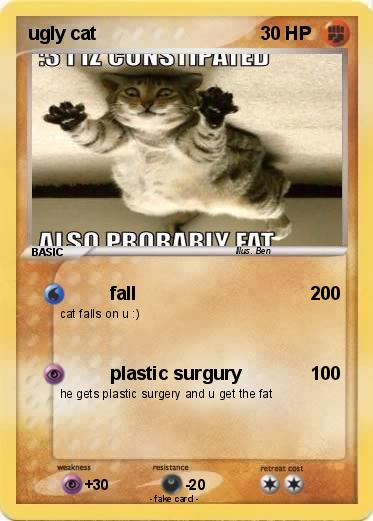 Pokemon ugly cat