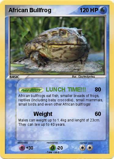 Pokemon African Bullfrog