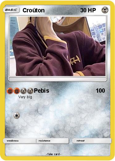 Pokemon Croûton
