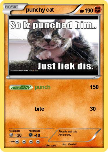 Pokemon punchy cat