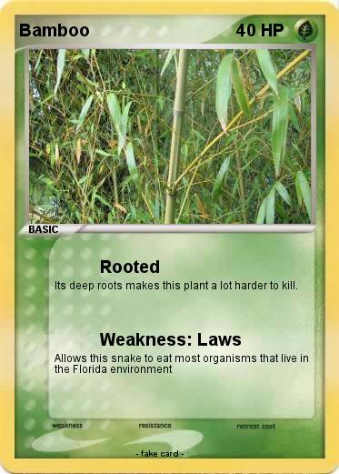 Pokemon Bamboo