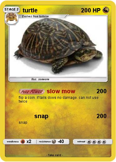 Pokemon turtle
