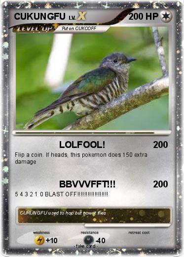 Pokemon CUKUNGFU