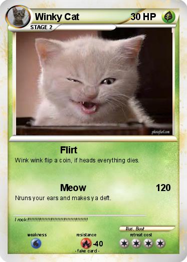 Pokemon Winky Cat