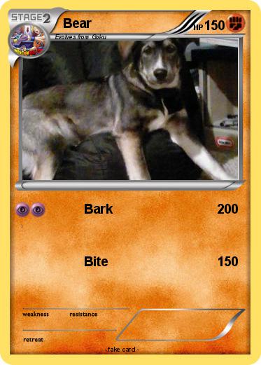 Pokemon Bear