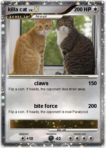 Pokemon killa cat