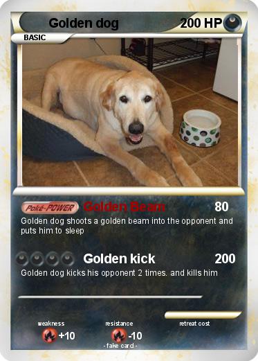 Pokemon Golden dog