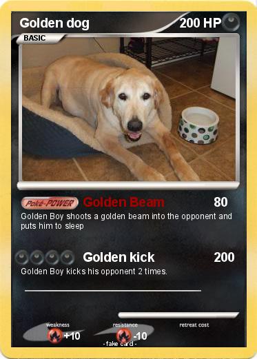 Pokemon Golden dog