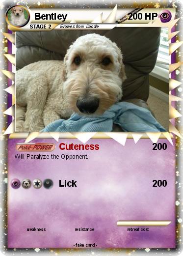 Pokemon Bentley