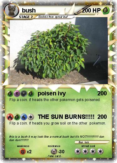 Pokemon bush