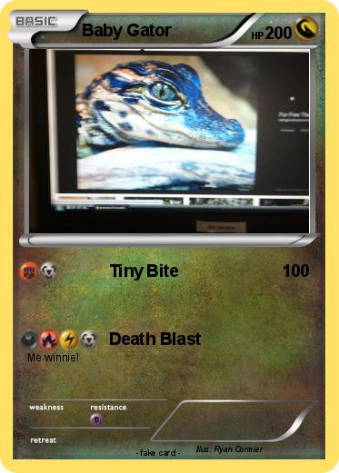Pokemon Baby Gator