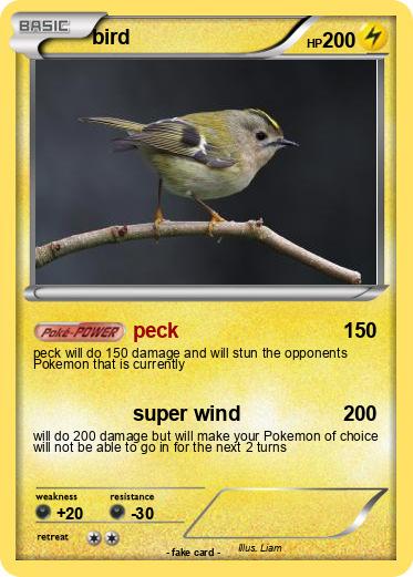 Pokemon bird