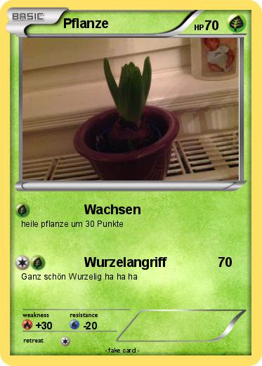 Pokemon Pflanze