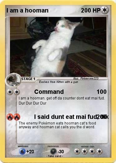Pokemon I am a hooman Pokemon I am a hooman