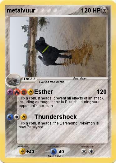 Pokemon metalvuur