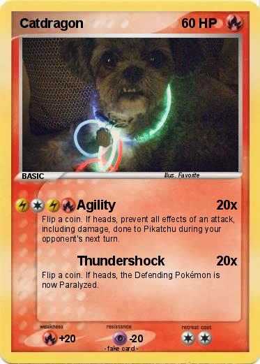 Pokemon Catdragon