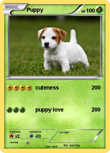 Pokemon Puppy