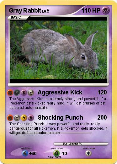 Pokemon Gray Rabbit