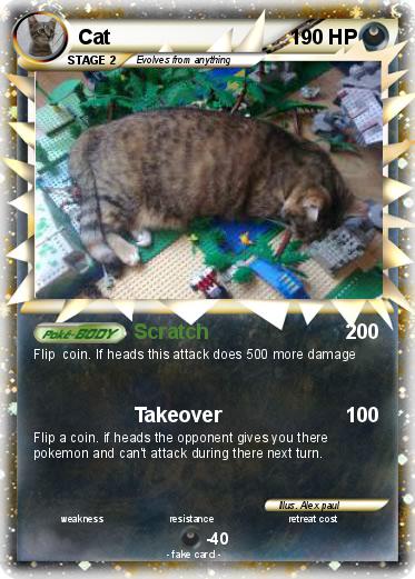Pokemon Cat