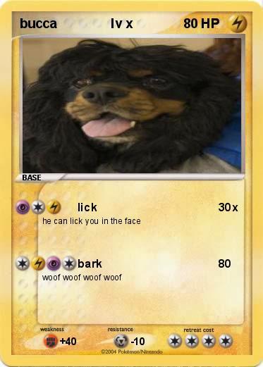 Pokemon bucca               lv x